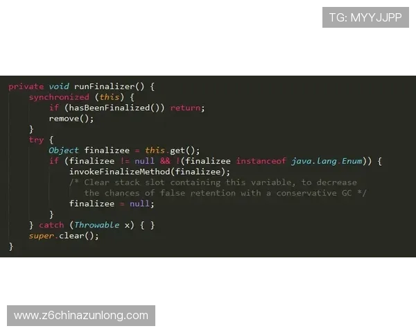 深入分析尊龙凯时正规网址的玩法机制与服务功能，让你不再迷茫